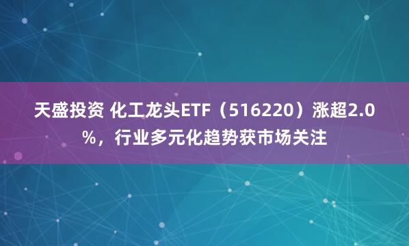 天盛投资 化工龙头ETF（516220）涨超2.0%，行业多元化趋势获市场关注