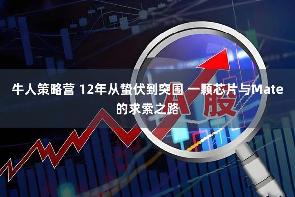 牛人策略营 12年从蛰伏到突围 一颗芯片与Mate的求索之路